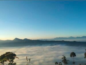 Gunung Putri Lembang dengan suasana hutan pinus