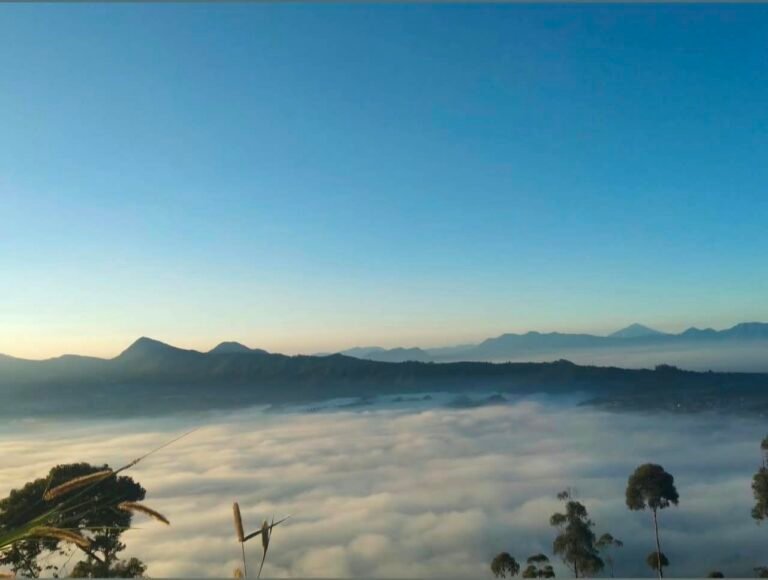 Gunung Putri Lembang dengan suasana hutan pinus