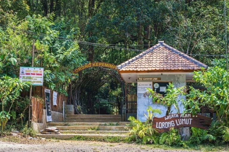 trekking Lorong Lumut Lembang