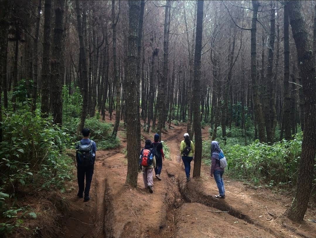 Hiking untuk pemula di jalur alam dengan medan ringan